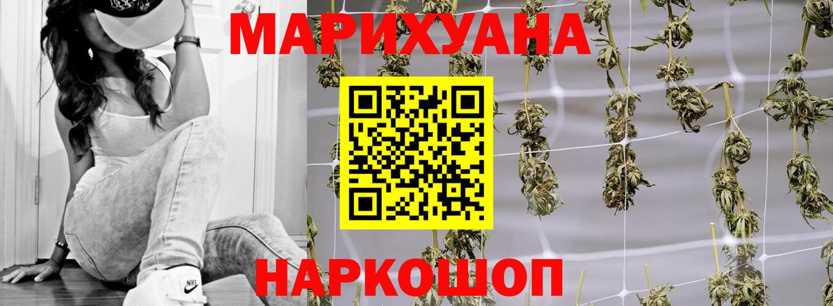 Конопля гибрид Петрозаводск